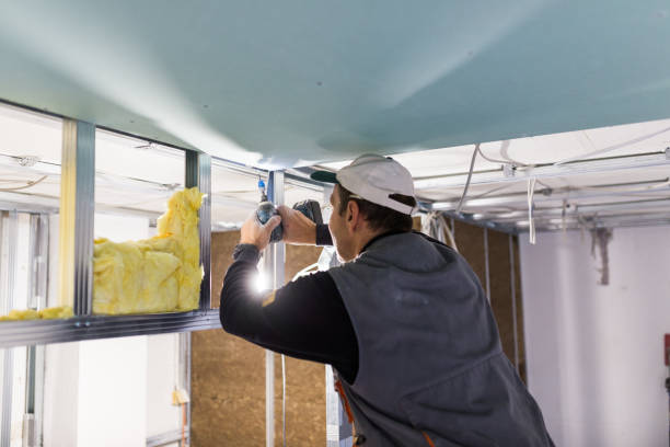 Best Spray Foam Insulation in Vian, OK